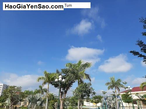 Danh Sách 6 Trung tâm, Cơ quan giáo dục P. Lê Lợi, TP. Kon Tum, T. Kon Tum