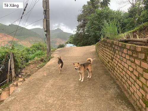 Yến Sào Kon Tum - Gợi ý 2 Nha Khoa tốt nhất khu vực Huyện Tu Mơ Rông